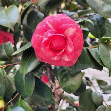 Ca' Letizia Сasa de vacaciones