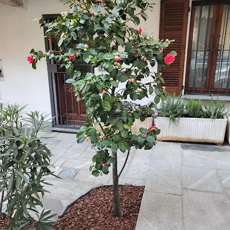 Tatil Evi Ca' Letizia Stresa