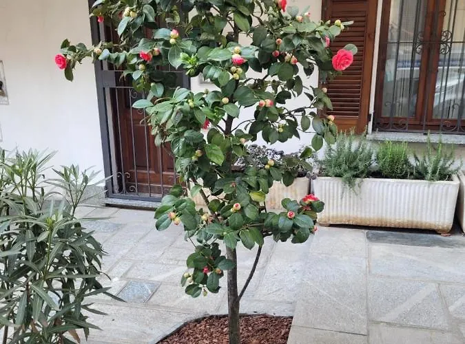 Dom wakacyjny Ca' Letizia Stresa